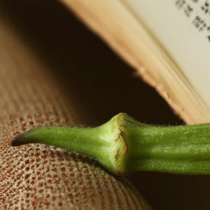 Okra warzywo mądrości - 7 tajemnic okry